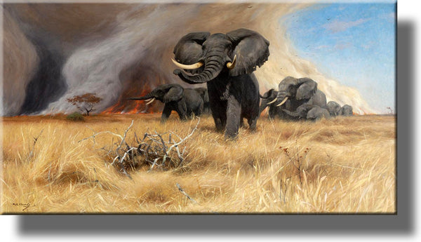 African Elephants Running from Fire Picture by Kuhnert on Stretched Canvas, Wall Art Décor, Ready to Hang!