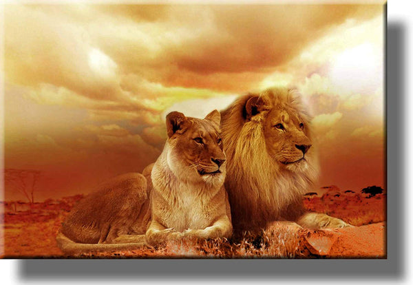 African Lion and Lioness Picture on Stretched Canvas Wall Art Décor Framed Ready to Hang!