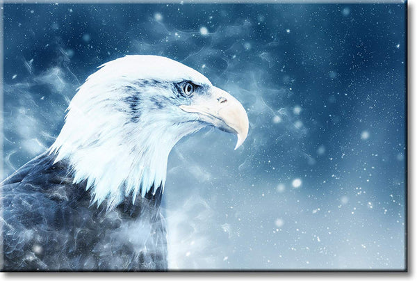 American Eagle in Winter Picture on Stretched Canvas, Wall Art Décor, Ready to Hang