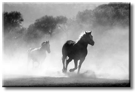 Running Wild Horses Picture on Stretched Canvas, Wall Art Décor, Ready to Hang