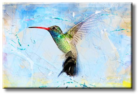 Beautiful Watercolor Hummingbird Mordern Art Picture on Stretched Canvas, Wall Art Décor, Ready to Hang
