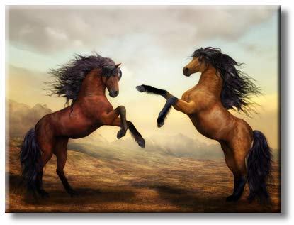 Fighting Horses Picture on Stretched Canvas, Wall Art Décor, Ready to Hang