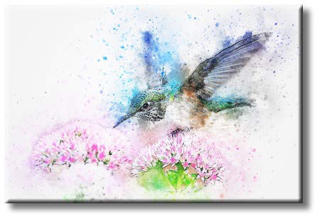 Beautiful Tailed Emerald Hummingbird in Flight Feeding on Pink Flowers Design Picture on Stretched Canvas, Wall Art Décor, Ready to Hang