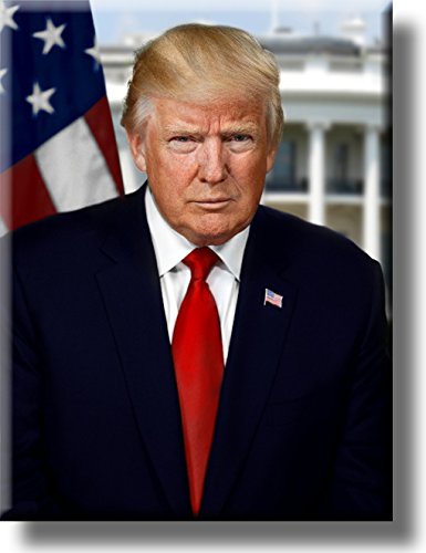 Donald Trump Portrait Picture on Stretched Canvas Wall Art Décor, Ready to Hang!