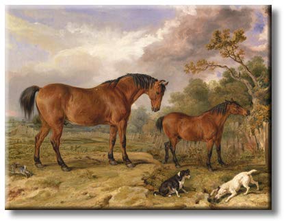 Horses with Dogs Picture on Stretched Canvas, Wall Art Décor, Ready to Hang
