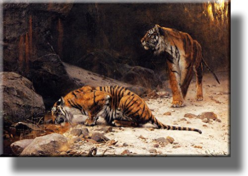Tigers at Drinking Pool Picture on Stretched Canvas, Wall Art Décor, Ready to Hang!