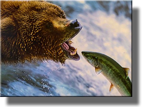 Grizzly Bear Picture on Stretched Canvas, Wall Art Décor, Ready to Hang