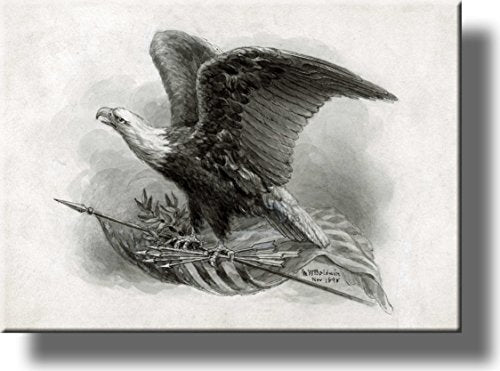 American Eagle Vintage Picture on Stretched Canvas, Wall Art Décor, Ready to Hang!