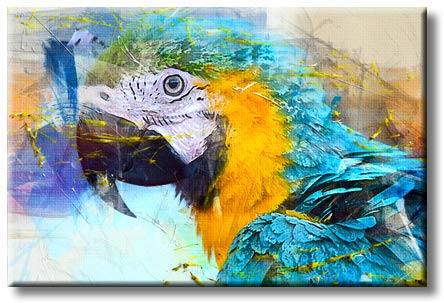 Morden Decoration Parrot Art Picture on Stretched Canvas, Wall Art Décor, Ready to Hang