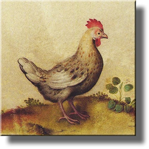 Chicken Hen Art Picture for Kitchen Wall Decor on Stretched Canvas, Ready to Hang!.