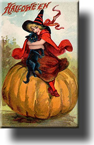 Halloween Witch and Cat on Pumpkin Picture on Stretched Canvas, Wall Art Décor, Ready to Hang!