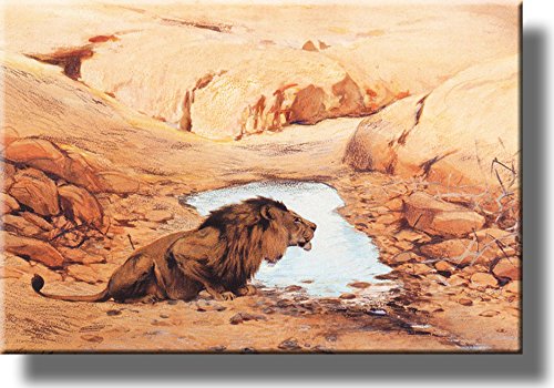Lion by the Pond Picture on Stretched Canvas, Wall Art Décor, Ready to Hang!