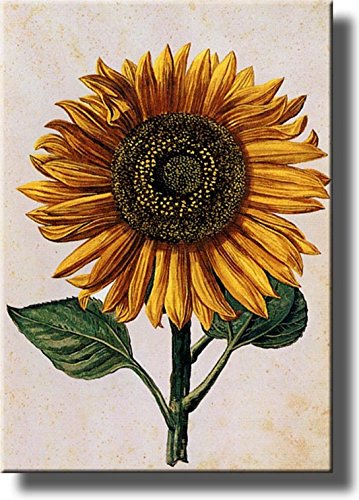 Sunflower Picture on Stretched Canvas Wall Art Décor Framed Ready to Hang!