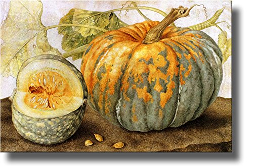 Squash Hand Painted by Giovanna Garzon, 1600's Picture on Stretched Canvas, Wall Art Decor Ready to Hang!.