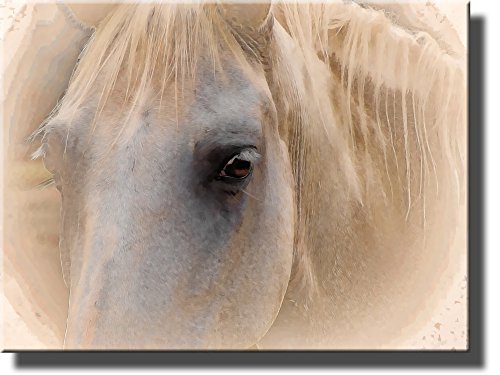 Head of Beautiful White Horse Picture on Stretched Canvas, Wall Art Decor Ready to Hang!.
