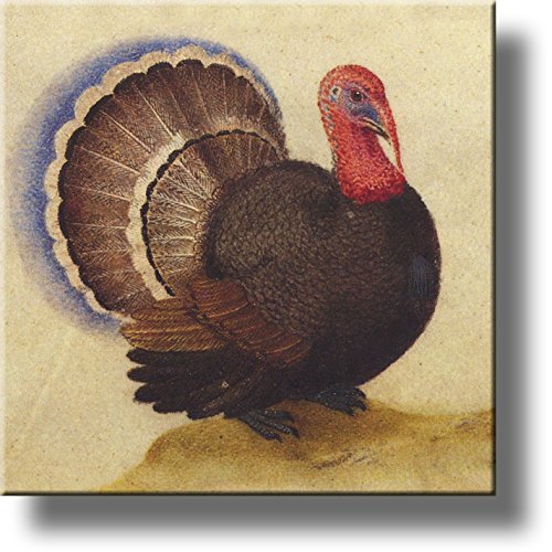 A Turkey Picture on Stretched Canvas, Kitchen Wall Art Decor Ready to Hang!.
