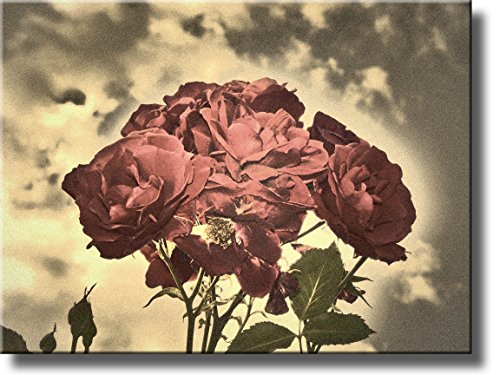 A Picture of Roses and Sky on Stretched Canvas, Wall Art Decor Ready to Hang!.