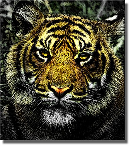 Tiger Head Picture on Stretched Canvas, Wall Art Decor Ready to Hang!.