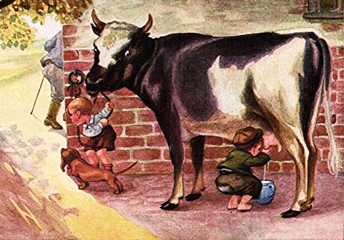 Boy Stealing Cow's Milk Picture on Stretched Canvas, Wall Art Décor, Ready to Hang!