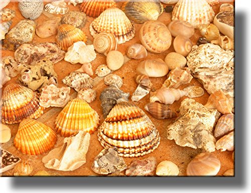 Sea Shells Bathroom Picture on Stretched Canvas, Wall Art Décor, Ready to Hang!