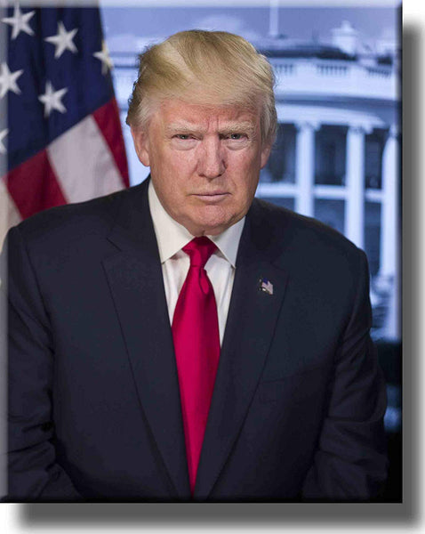 Donald Trump Portrait Picture on Stretched Canvas Wall Art Décor, Ready to Hang!