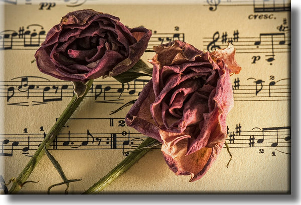 Music and Roses, Music Notes Picture on Stretched Canvas, Wall Art Décor, Ready to Hang