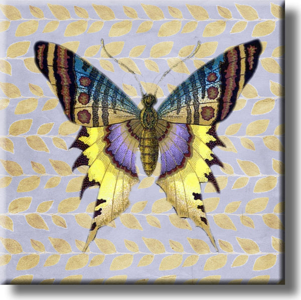 Beautiful Butterfly Picture on Stretched Canvas, Wall Art Décor, Ready to Hang