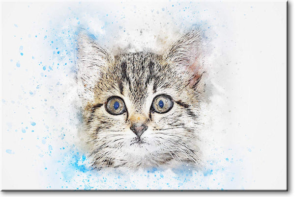 Kitten Head Picture on Stretched Canvas, Wall Art Décor, Ready to Hang