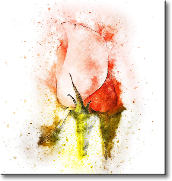 Rose Bulb Picture on Stretched Canvas, Wall Art Décor, Ready to Hang