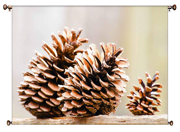 Autumn Pine Cones Picture on Canvas Hung on Copper Rod, Ready to Hang, Wall Art Décor