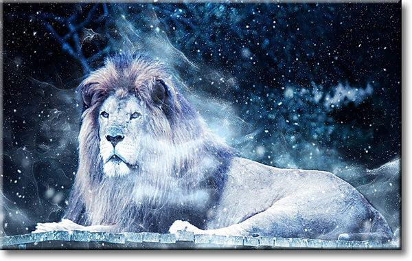 Lion in Winter Night Picture on Stretched Canvas, Wall Art Décor, Ready to Hang