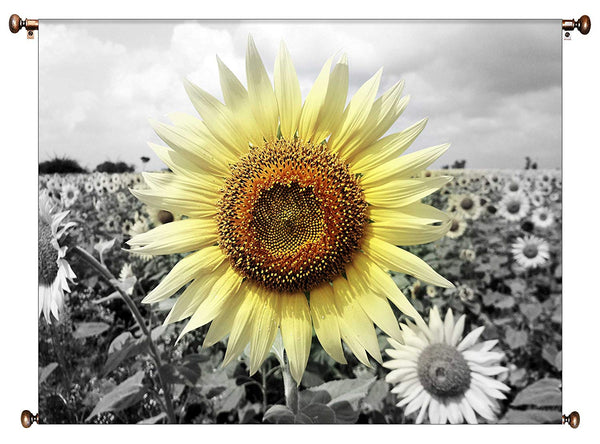 Big Sunflower on a Farm Picture on Canvas Hung on Copper Rod, Ready to Hang, Wall Art Décor