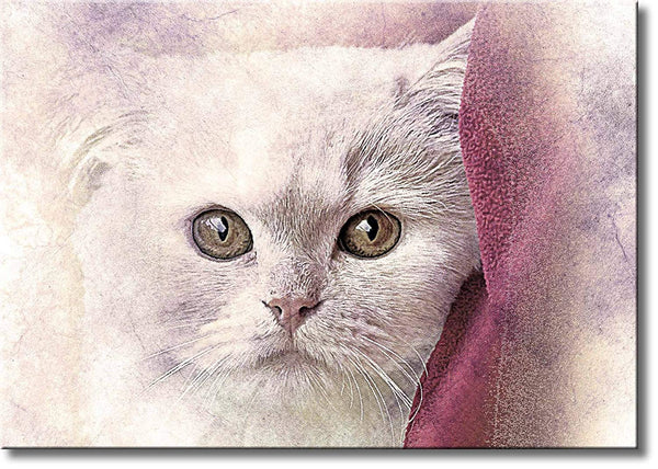 White Cat Picture on Stretched Canvas, Wall Art Décor, Ready to Hang