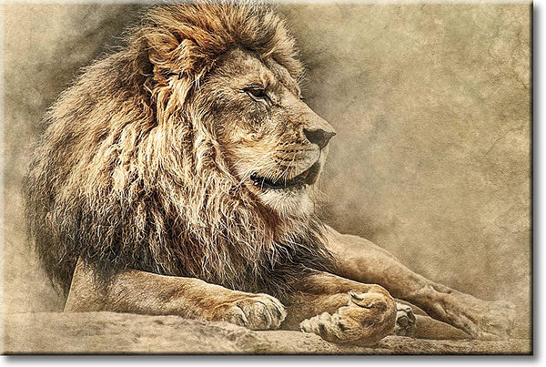 Vintage Lion Picture on Stretched Canvas, Wall Art Décor, Ready to Hang