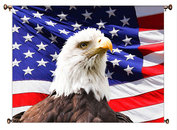 American Eagle and Flag Picture on Canvas Hung on Copper Rod, Ready to Hang, Wall Art Décor