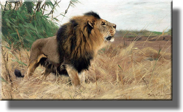 Barbary African Lion Picture by Kuhnert on Stretched Canvas, Wall Art Décor, Ready to Hang!