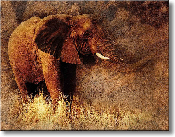 Elephant Picture on Stretched Canvas, Wall Art Décor, Ready to Hang