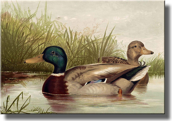 Ducks Vintage Picture Made on Stretched Canvas Wall Art Decor Ready to Hang!.