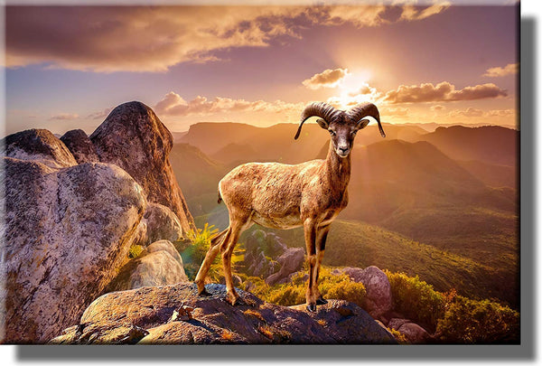 Beautiful Wildlife Picture on Stretched Canvas, Wall Art Décor, Ready to Hang!
