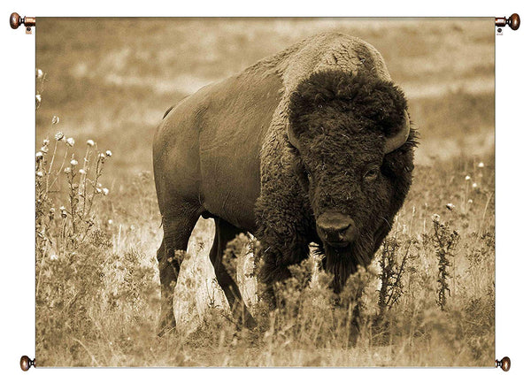 American Buffalo Picture on Canvas Hung on Copper Rod, Ready to Hang, Wall Art Décor