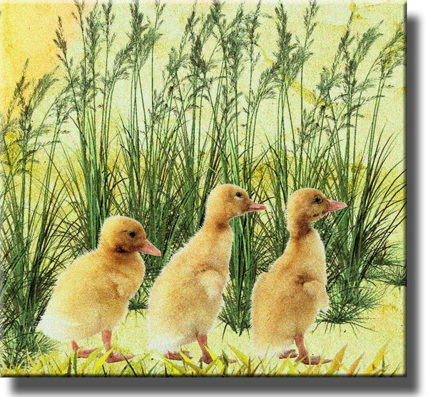 Baby Ducks, Ducklings Picture Made on Stretched Canvas, Wall Art Decor Ready to Hang.