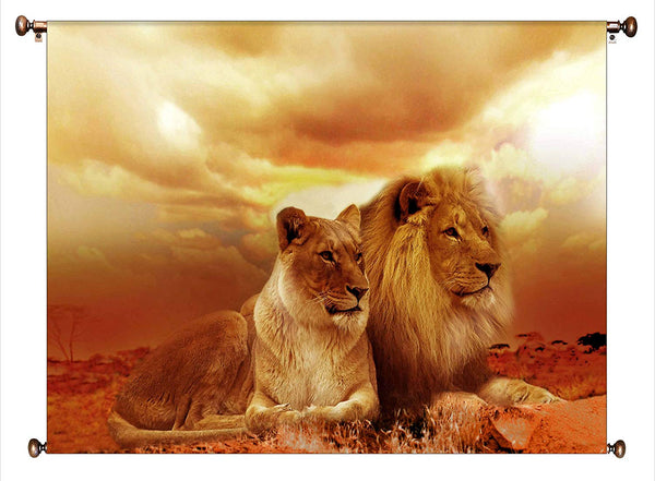 African Lion and Lioness Picture on Canvas Hung on Copper Rod, Ready to Hang, Wall Art Décor