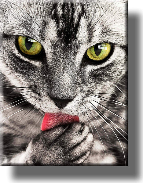 Cat Licking Paw Picture on Stretched Canvas, Wall Art Décor, Ready to Hang!